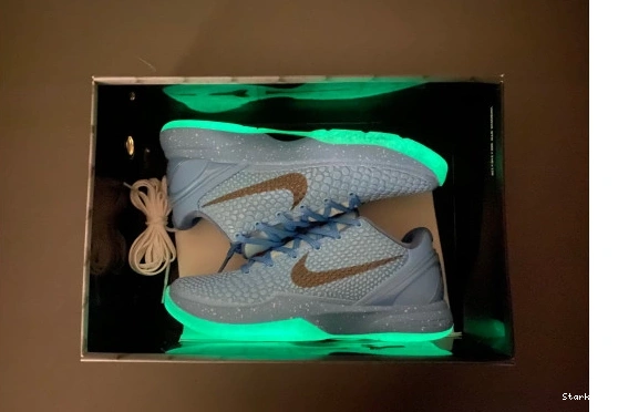 PE2023-100 6 Zoom FTB Kobe Nike  1119